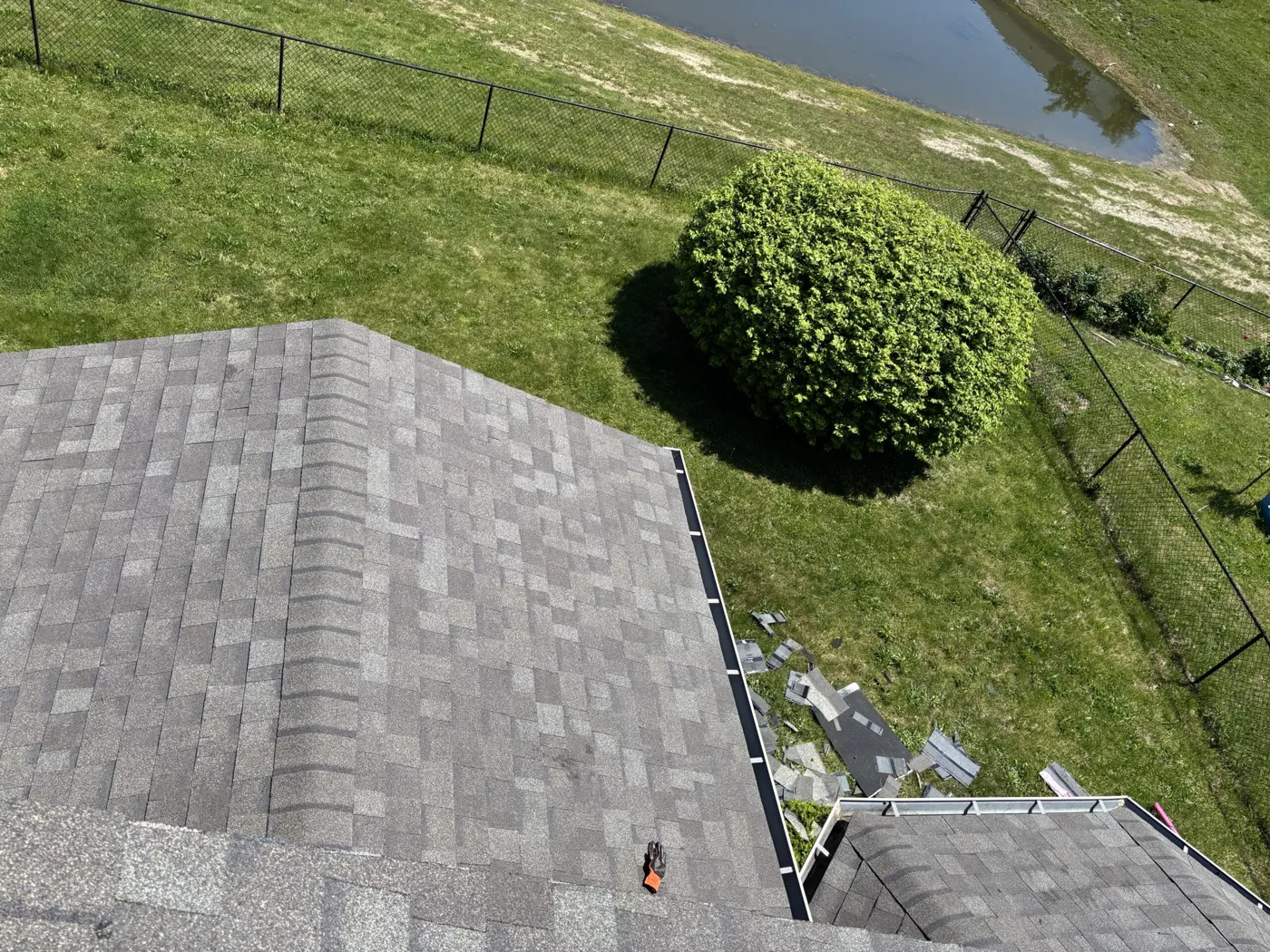 Roof edge and shingles above a backyard